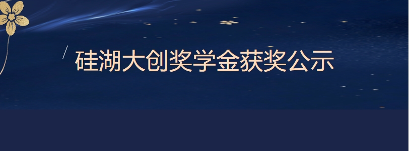 硅湖大创奖学金获奖公示